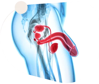 Staminup ME Gummies Affordable Price